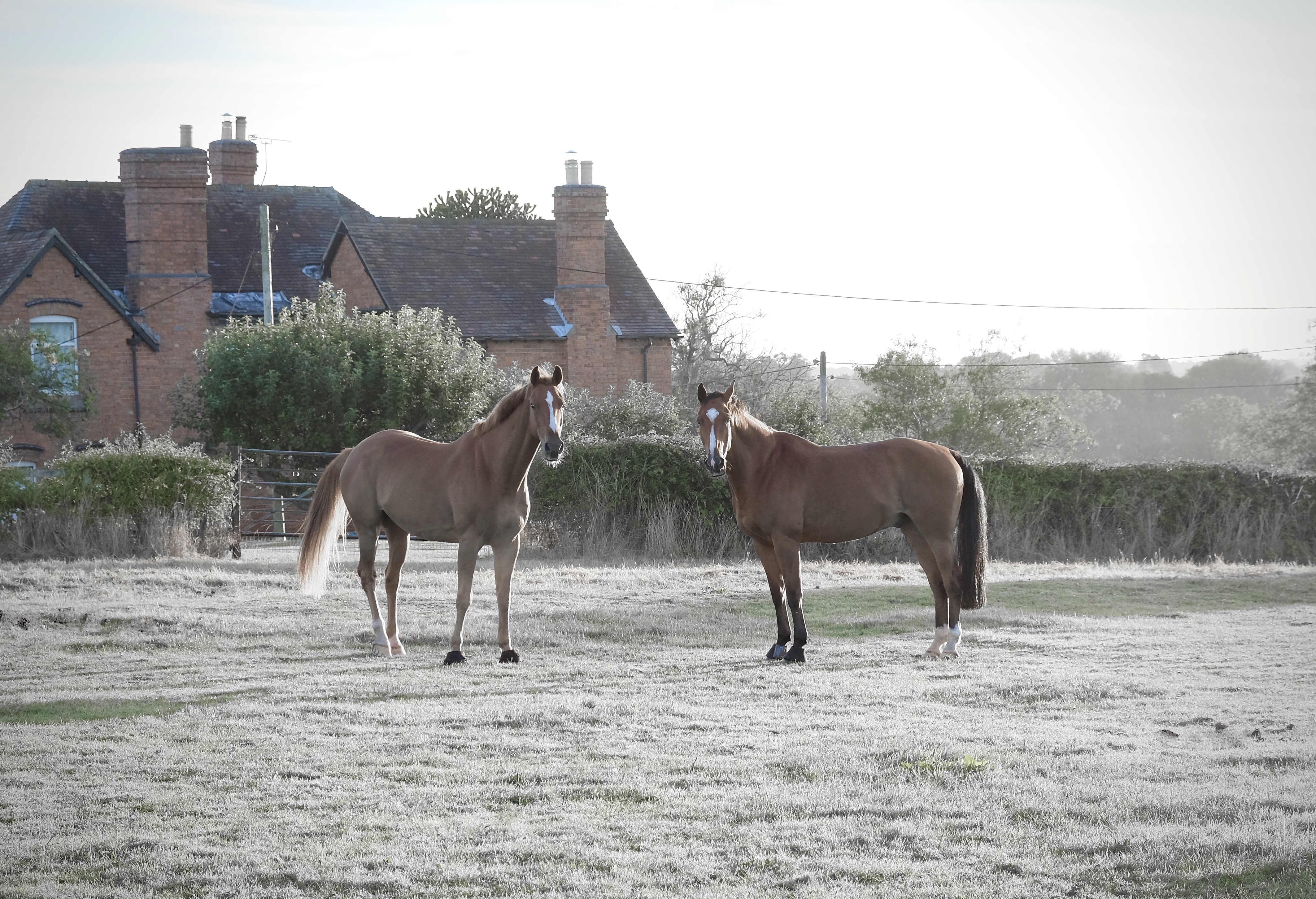Higher Stock Lane Farm
